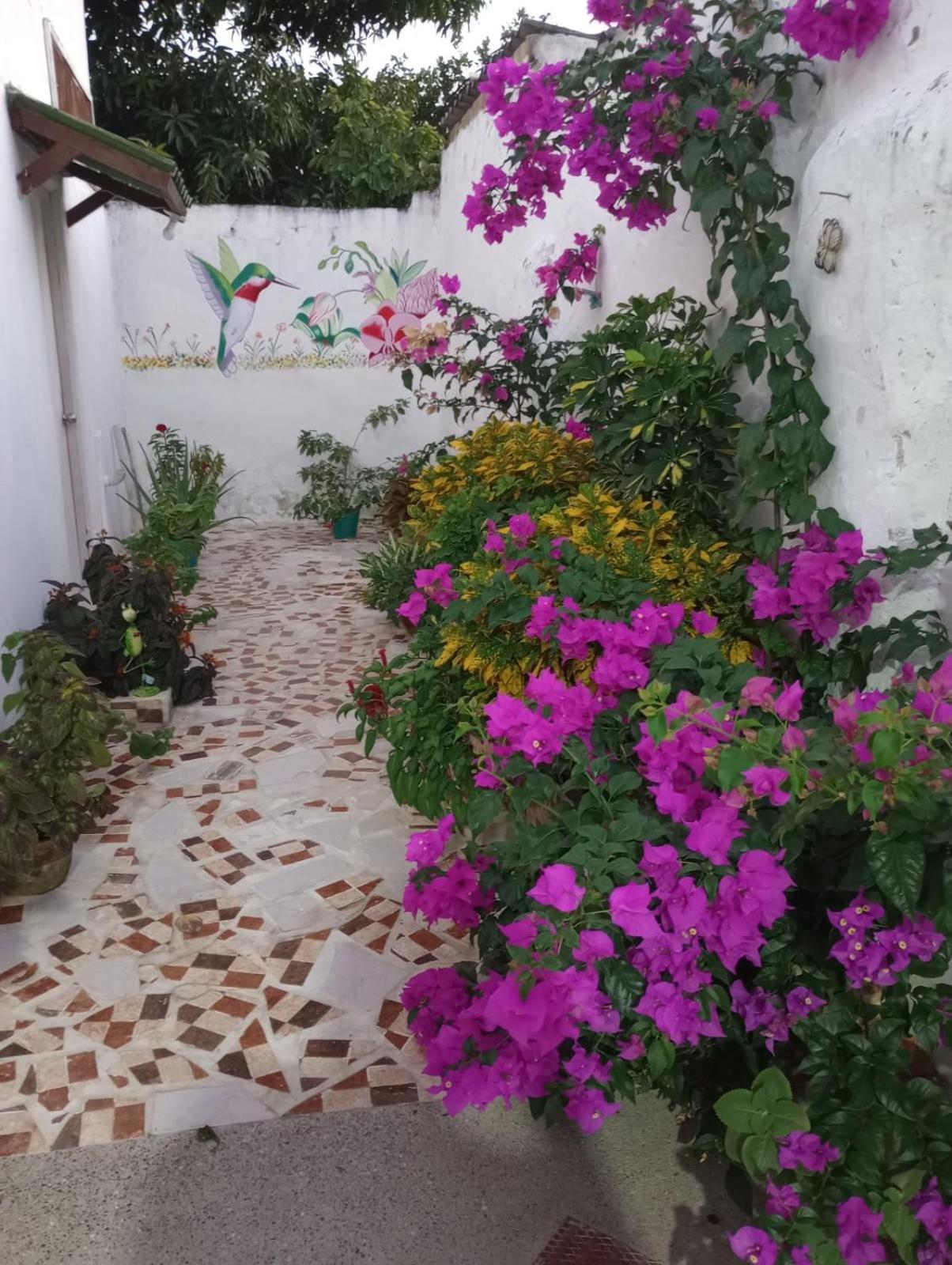 Hospedaje Casa Pachi En Cartagena De Indias Экстерьер фото